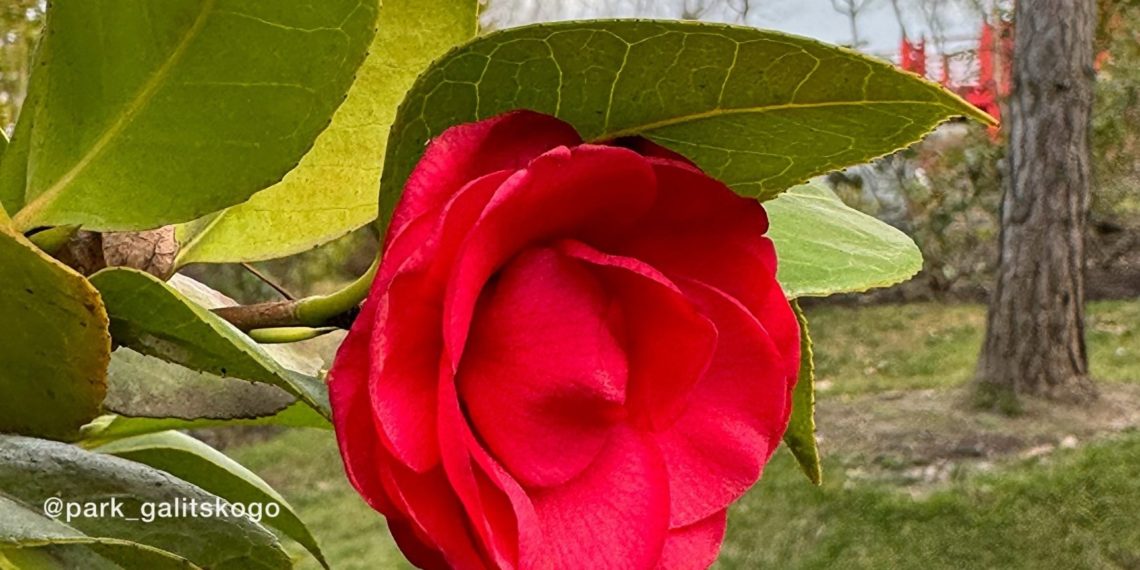 «Дождь и мокрый снег»: как закончится эта неделя в Краснодарском крае