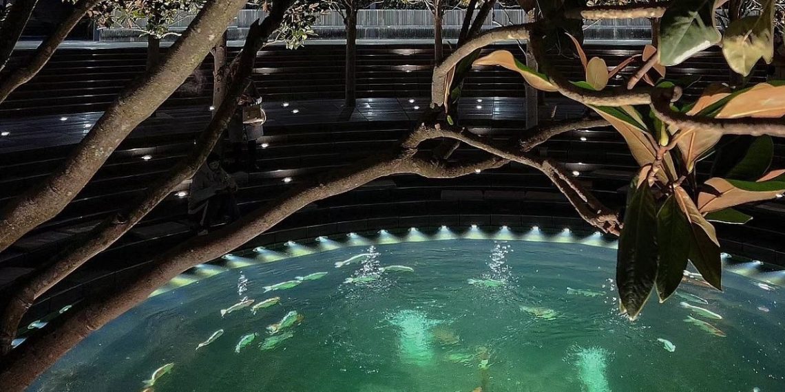 “С погодой в пятницу не повезло”: синоптики поделились тем, что придет на Кубань