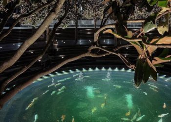 “С погодой в пятницу не повезло”: синоптики поделились тем, что придет на Кубань