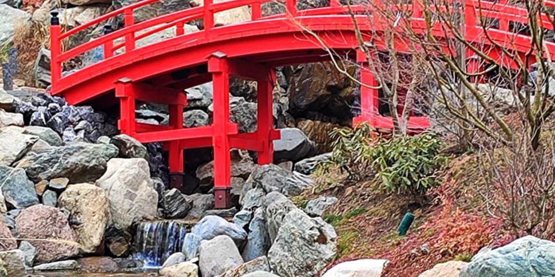 «Часть страны ждет аномально холодная весна». Синоптики о погоде на Кубани