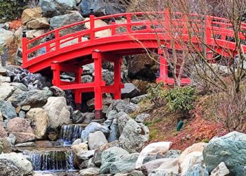 «Часть страны ждет аномально холодная весна». Синоптики о погоде на Кубани