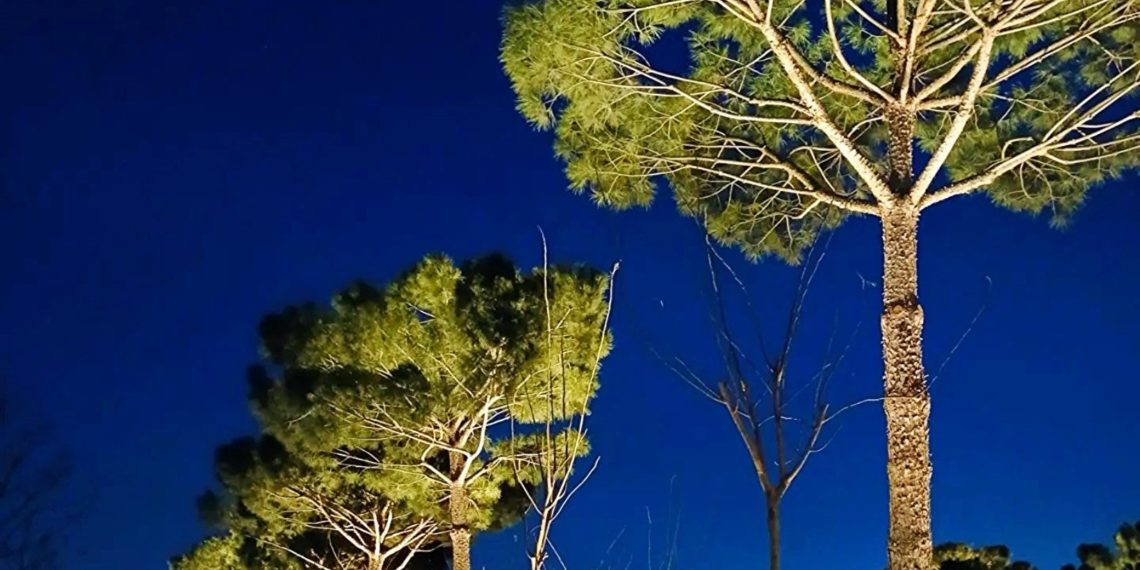 Какая погода будет 1 апреля 2024 года в Краснодарском крае, рассказали синоптики