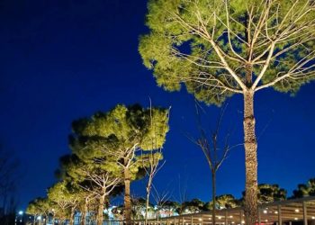 Какая погода будет 1 апреля 2024 года в Краснодарском крае, рассказали синоптики