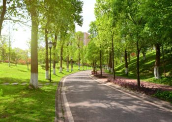 Краснодарцы о голосовании: Что благоустраивать в Тургеневском сквере?