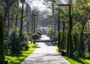 В Генплане Сочи зарезервировали 1,5 тысячи гектар для благоустройства