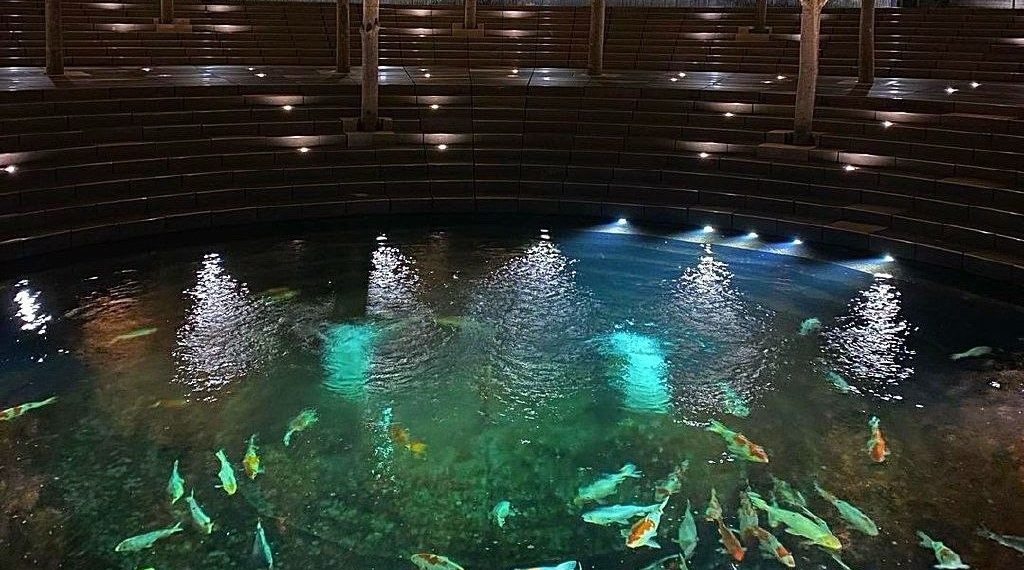 Местные синоптики порадовали прогнозом на 1 марта в Краснодарском крае