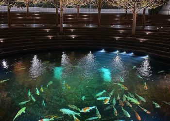 Местные синоптики порадовали прогнозом на 1 марта в Краснодарском крае