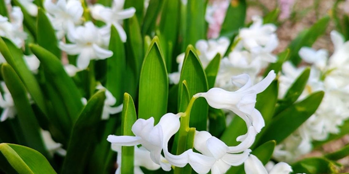 Синоптик рассказал о погоде в выходные дни 16 и 17 марта в Краснодарском крае