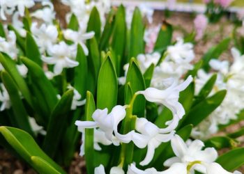 Синоптик рассказал о погоде в выходные дни 16 и 17 марта в Краснодарском крае