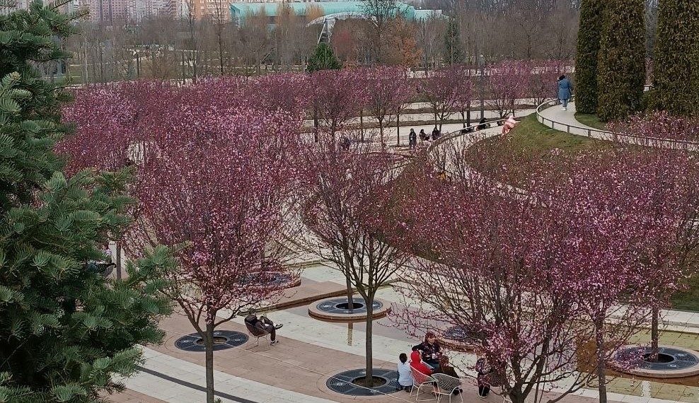 Синоптик обрадовал жителей Кубани возвращением 20-градусного тепла