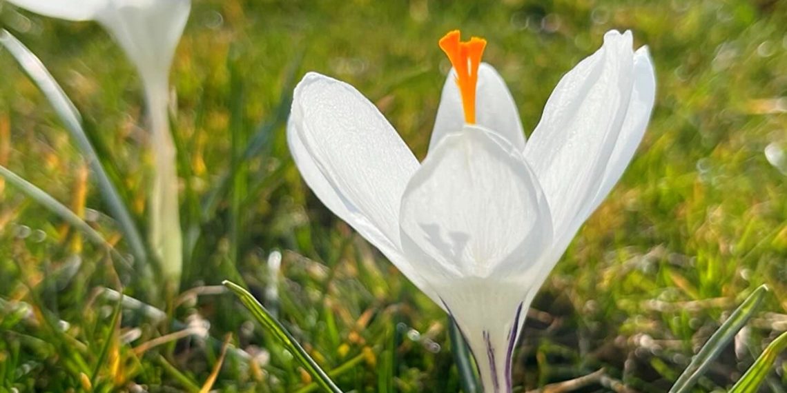 Эксперты поделились прогнозом погоды на неделю с 18 по 24 марта на Кубани