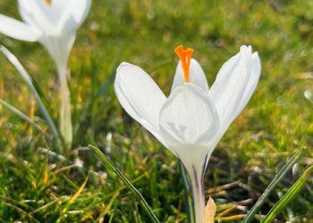 Эксперты поделились прогнозом погоды на неделю с 18 по 24 марта на Кубани