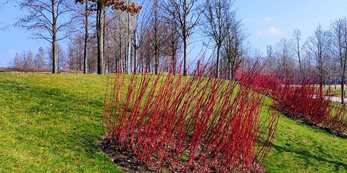 Метеорологи определились с самым холодным днем этой недели на Кубани