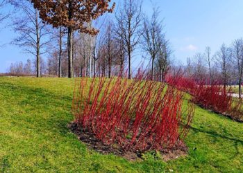 Метеорологи определились с самым холодным днем этой недели на Кубани