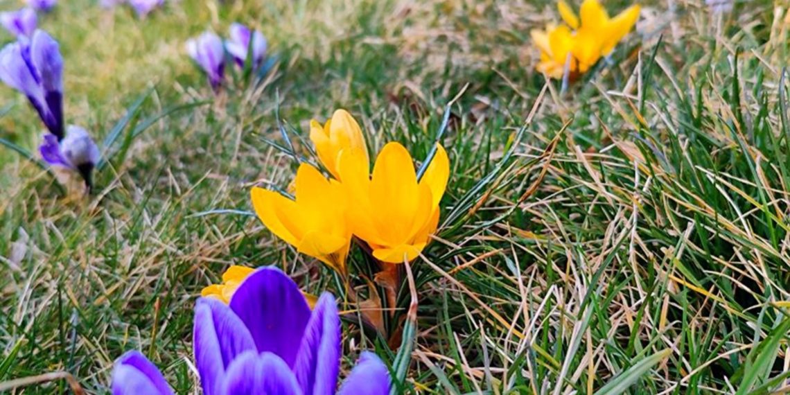 Синоптики рассказали о погоде на Кубани на неделе с 11 по 17 марта 2024 года