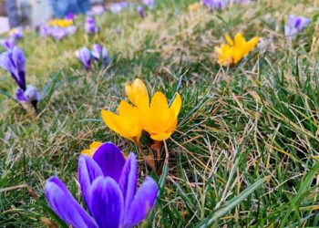 Синоптики рассказали о погоде на Кубани на неделе с 11 по 17 марта 2024 года