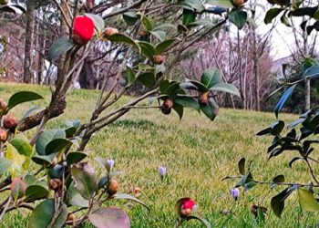“Апрель и май на Кубани будут сумасшедшими”. Синоптики выпустили новый прогноз