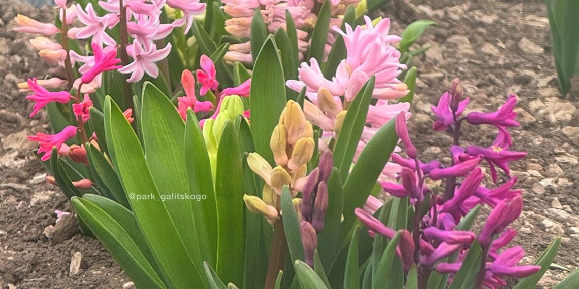 «Март будет аномальным». Синоптики сказали, чего ждать от начала весны на Кубани