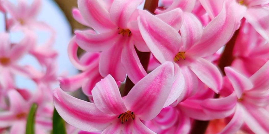 Метеорологи резко изменили прогноз на начало апреля в Краснодарском крае