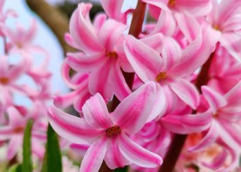 Метеорологи резко изменили прогноз  на начало апреля в Краснодарском крае