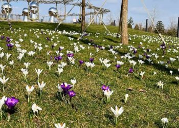 Какая погода будет в апреле в Краснодарском крае, рассказали синоптики