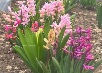 «Март будет аномальным». Синоптики сказали, чего ждать от начала весны на Кубани