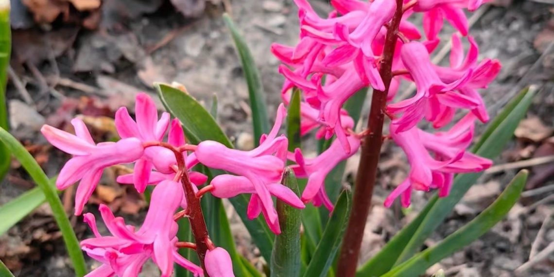 “Пройдет небольшой дождь”: прогноз погоды на 21 марта в Краснодарском крае