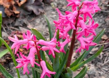 “Пройдет небольшой дождь”: прогноз погоды на 21 марта в Краснодарском крае