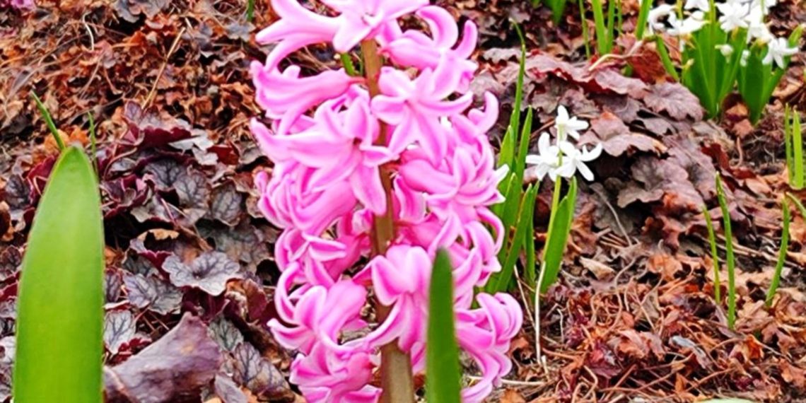 Синоптики рассказали, какой будет последняя неделя марта-2024 на Кубани