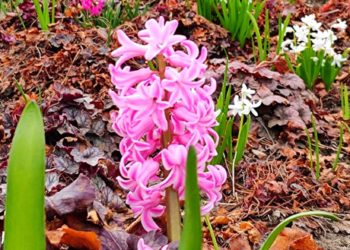 Синоптики рассказали, какой будет последняя неделя марта-2024 на Кубани