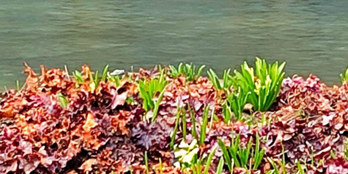 “Нас погодой не балует”: метеорологи огорошили прогнозом в Краснодарском крае