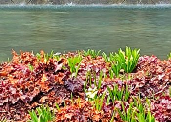 “Нас погодой не балует”: метеорологи огорошили прогнозом в Краснодарском крае