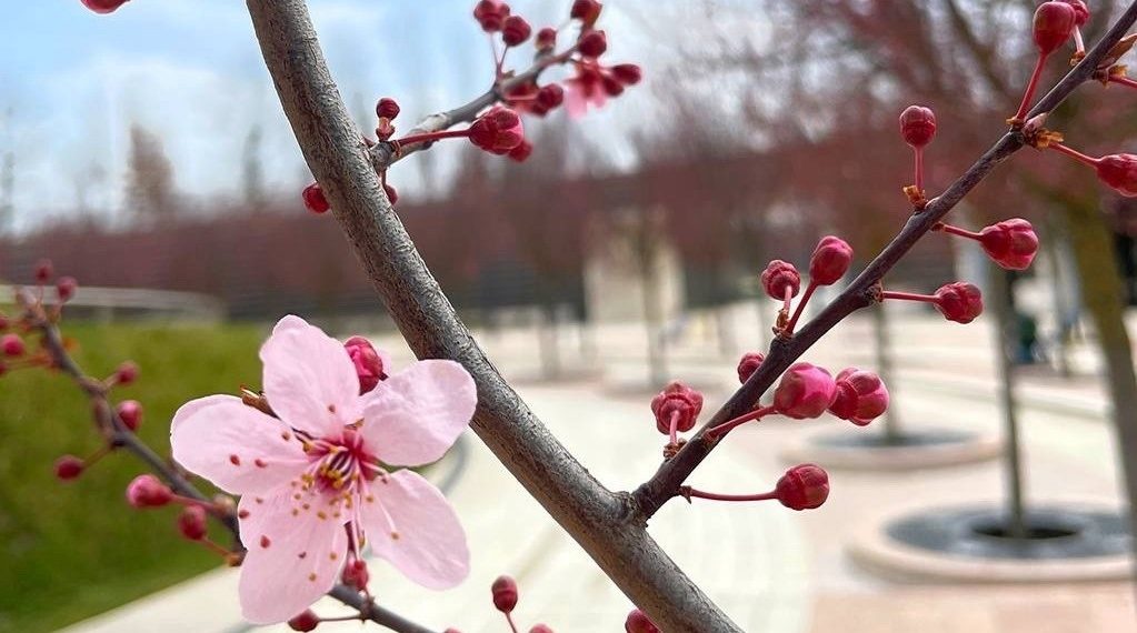 Специалисты обескуражили предстоящей погодой в Краснодарском крае