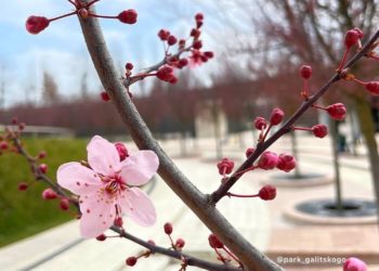Специалисты обескуражили предстоящей погодой в Краснодарском крае