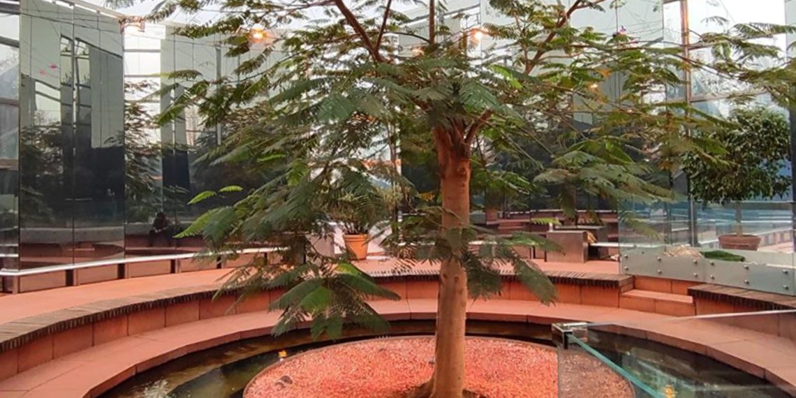 Начнется 2 марта и простоит до праздника. Синоптики о том, что придет на Кубань