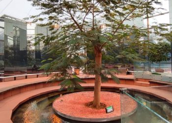 Начнется 2 марта и простоит до праздника. Синоптики о том, что придет на Кубань