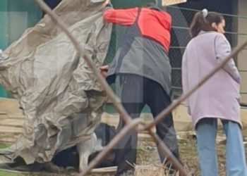 В Сочи в парке «Дендрарий» 8 марта скончался измученный посетителями страус