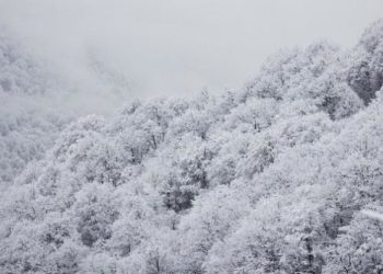 В горах Сочи ожидается сильный снег 8 марта