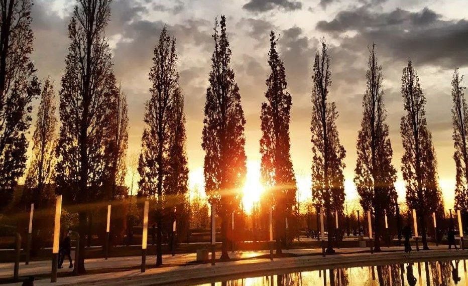 Назван самый теплый день в конце марта в Краснодарском крае