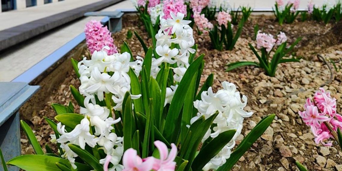 Синоптики поделились прогнозом на пятницу 15 марта в Краснодарском крае