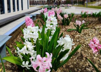 Синоптики поделились прогнозом на пятницу 15 марта в Краснодарском крае