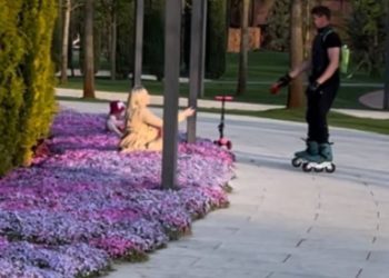 В парке Галицкого в Краснодаре женщина села прямо на нежные флоксы