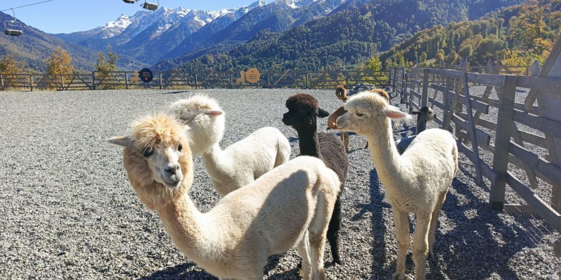 Синоптики поделились прогнозом на самый необычный день апреля-2024 на Кубани