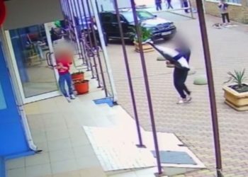 В Сочи поймали наркоторговца, ходившего по улице с мертвым дельфином