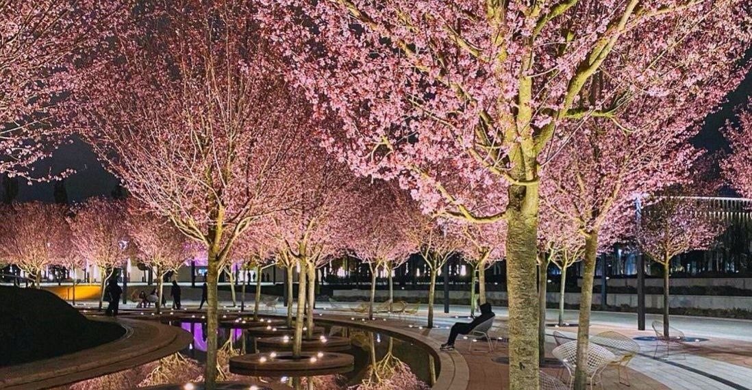 Какая погода ожидается 2 апреля на Кубани, рассказали метеорологи