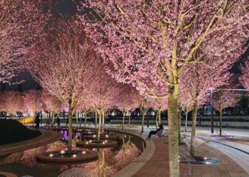 Какая погода ожидается 2 апреля на Кубани, рассказали метеорологи