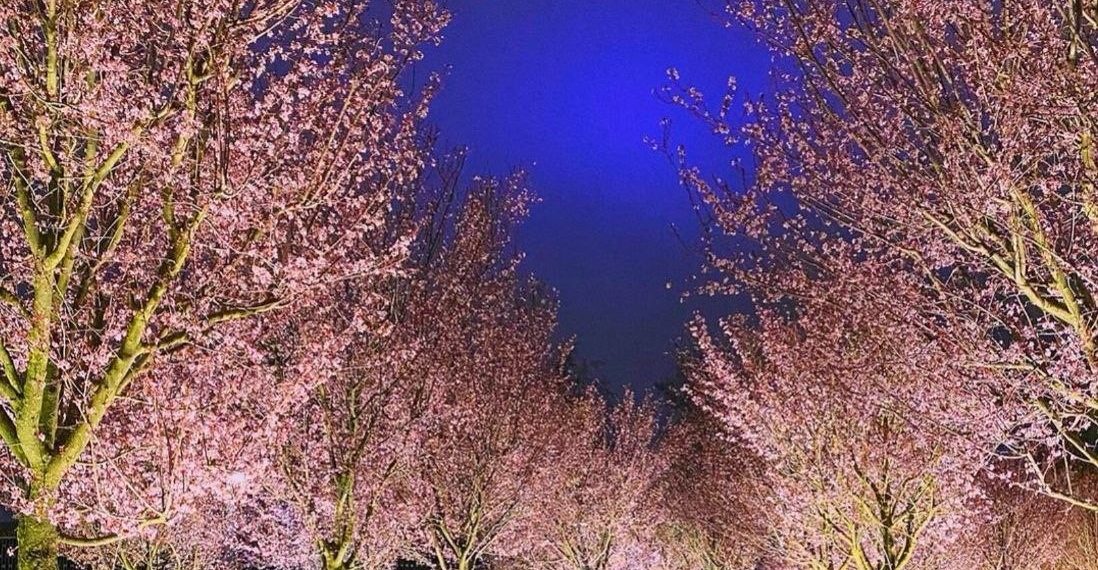 Синоптики назвали самый теплый день на этой неделе на Кубани