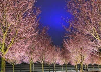 Синоптики назвали самый теплый день на этой неделе на Кубани