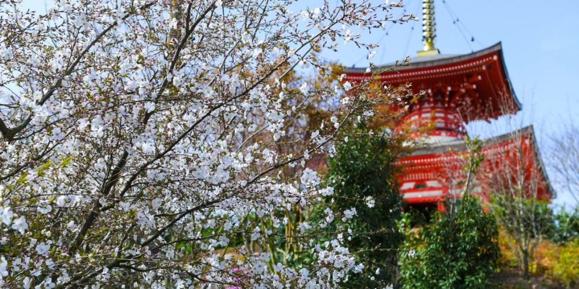 Какая погода будет с 8 по 14 апреля 2024 года на Кубани, рассказали метеорологи