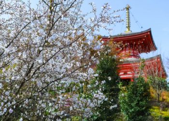 Какая погода будет с 8 по 14 апреля 2024 года на Кубани, рассказали метеорологи